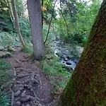 Bel Dans Ferme Vosgienne 克松吕-隆日梅