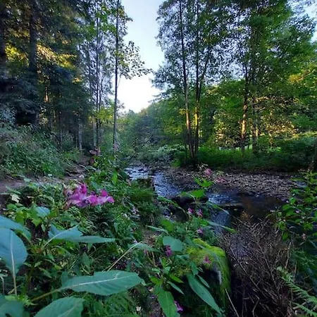 Bel Dans Ferme Vosgienne Apartment *