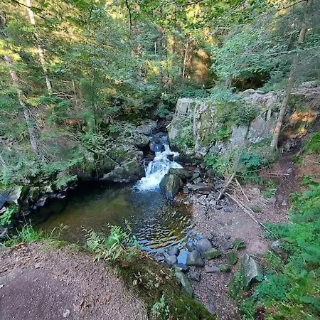 Bel Dans Ferme Vosgienne 아파트 종루프 롱지메르
