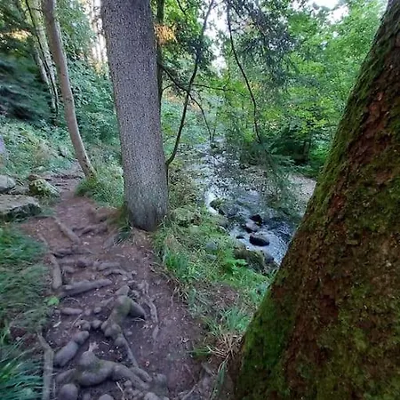 Bel Dans Ferme Vosgienne Xonrupt-Longemer